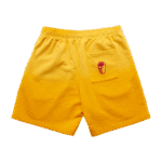 Warren Lotas Miami Heat Flaming Skull Shorts